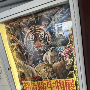 土曜日！の写真1枚目