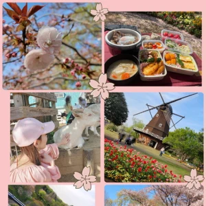 お花見🌸&ピクニック🍙の写真2枚目