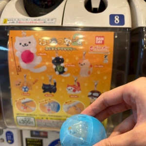ᐕ)ﾉ 7.21 ②の写真1枚目
