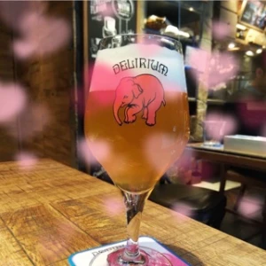 ピンクの象さん💕の写真1枚目