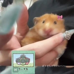 もえさんいます!!🩵の写真1枚目