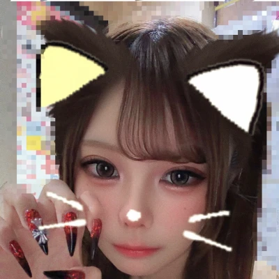 🐱🐱🐱🐱