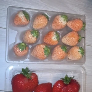 こんばんは、ななです😽の写真2枚目