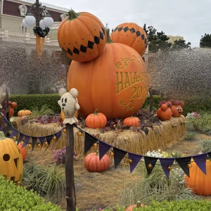 出勤🎃の写真1枚目
