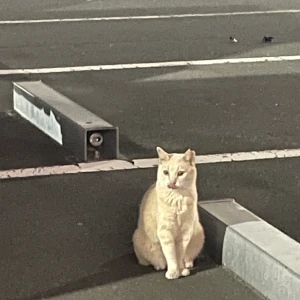 お疲れ様です‼️の写真1枚目