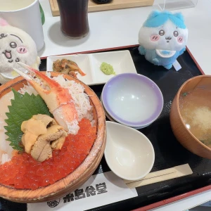 海鮮美味しかった🤤の写真1枚目