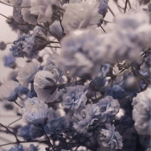 6.23の写真1枚目