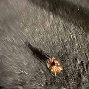 🌝の写真1枚目