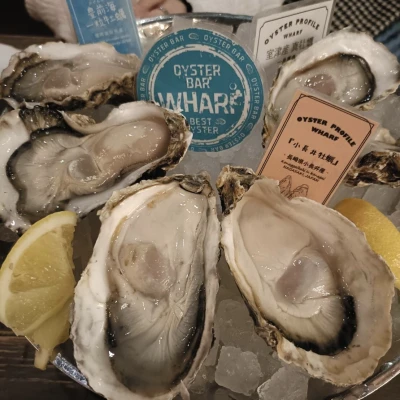 久しぶりの日曜日出勤します😼