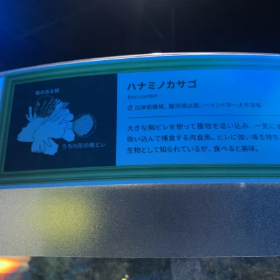 こんにちは、ぽちです🐾
