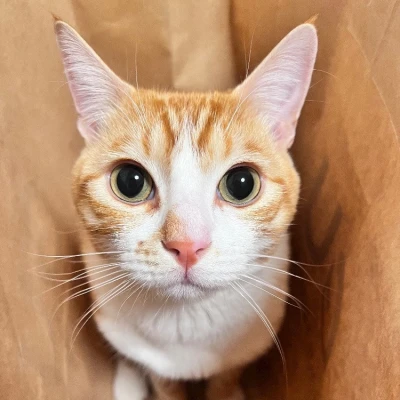 🐱ྀི4.30🐱ྀི