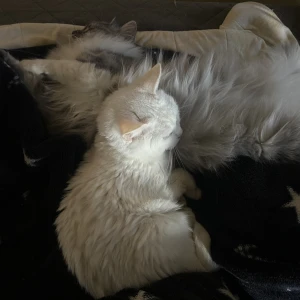 こんにちは✨の写真1枚目