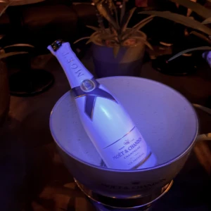 本日もいます🙋🏻‍♀️の写真1枚目