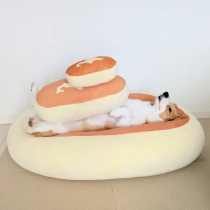 こんばんわんわん！みゆです(ᐡ•͈ ·̫ •͈ᐡ )و”の写真1枚目