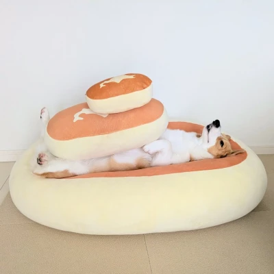こんばんわんわん！みゆです(ᐡ•͈ ·̫ •͈ᐡ )و”