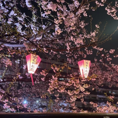 こんばんは！ティアラりなです！