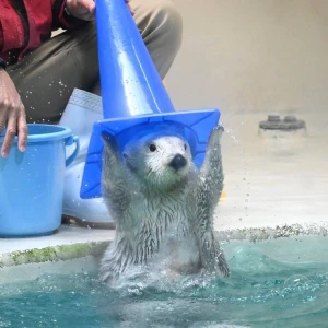 おはようございますの写真1枚目