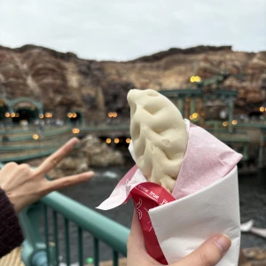 2025.10.31の写真1枚目