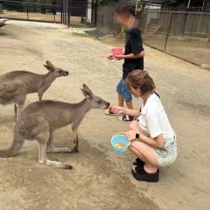 ワラビーちゃんに会ってきますた！の写真1枚目