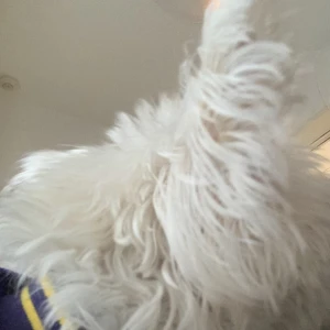 4/10の写真1枚目