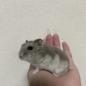 昨日は出勤してしました〜👍の写真1枚目