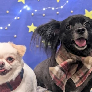 11/15の写真1枚目