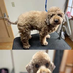 🌝の写真2枚目