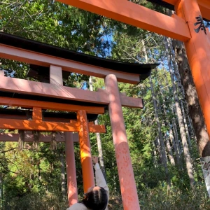 💚💚の写真1枚目