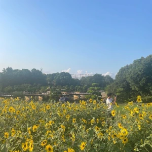🌻🍉👒の写真1枚目