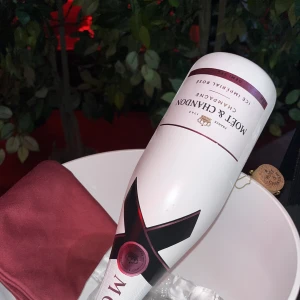 コラーレ同伴🫶シャンパン🥂ありがとう❣️の写真1枚目