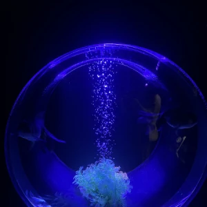出勤の写真1枚目
