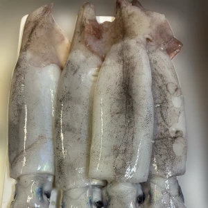 《茨城県産の〇〇がおっきすぎる》の写真1枚目