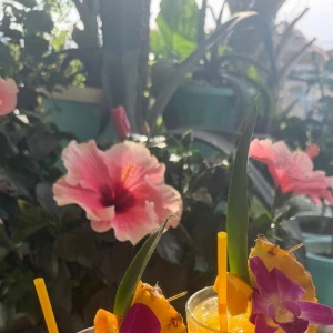 海と花火で夏感じた🌺🎆🩵の写真3枚目