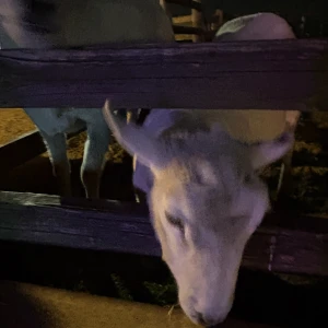 土曜日！の写真1枚目