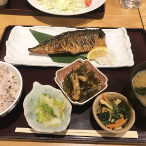 2/17の写真1枚目