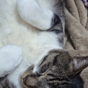 えりかだよー💜‪の写真1枚目