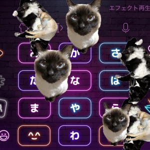 2/22の写真2枚目
