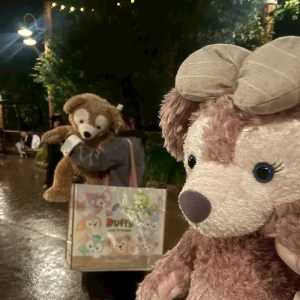 🧸の写真1枚目