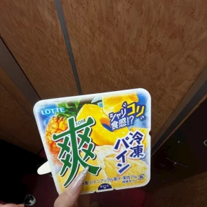 アイス食べてないとやってらんない！🍨の写真1枚目
