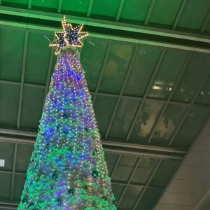 🎄*⋆の写真1枚目