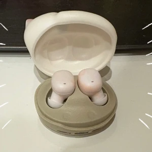 10/18の写真2枚目