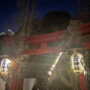 あけましておめでとうございます🤩の写真1枚目