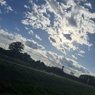 今日はお休みです💤