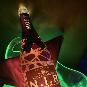 ましろ出勤です🦖🐾の写真3枚目