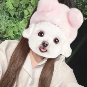 いるょの写真1枚目