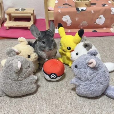 こんばんわん！みゆです꒰ U – ·̫ – ꒱ﾉ🌟