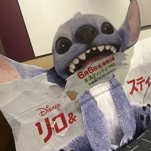やほ！！の写真1枚目
