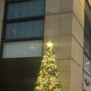 今週はエプロンイベントしてます🎄の写真1枚目