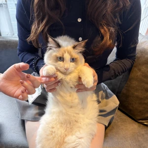 こんばんは！ゆきのです！の写真1枚目