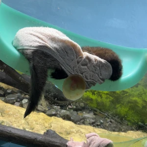 出勤🌸の写真1枚目